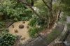 144 Grimshaw Street, Greensborough, Vic 3088-Image