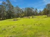 1440 Huon Highway, Lower Longley, Tas 7109-Image