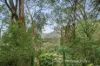 1444 Mountain Highway, The Basin, Vic 3154-Image