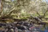 1445 Falls Road, Hovea, WA 6071-Image