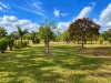 1447 Booral Road, Sunshine Acres, Qld 4655-Image