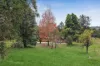 145 Bellevue Road, Tumbi Umbi, NSW 2261-Image