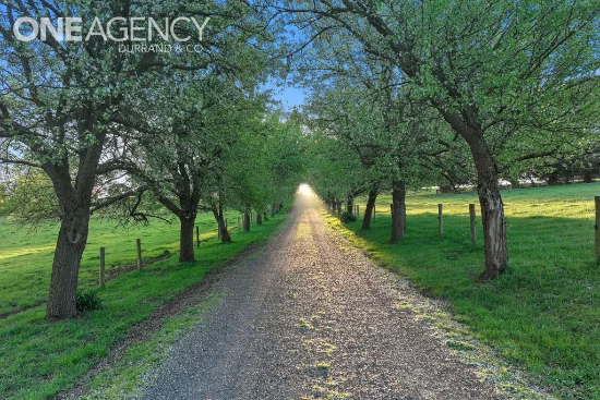 145 Christies Road, Warragul, Vic 3820 - For Sale