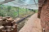 145 Fallons Road, Werombi, NSW 2570-Image
