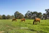 145 Lee-Steere Drive, Boyup Brook, WA 6244-Image