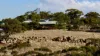145 Phillips Road, Coondle, WA 6566