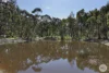145 Triggs Road, Yendon, Vic 3352-Image