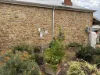 145 Vincent Street, Beverley, WA 6304-Image