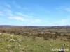 1459 Freemantle Road, Watton, NSW 2795-Image