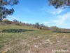 1459 Freemantle Road, Watton, NSW 2795-Image