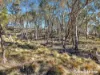 1459 Freemantle Road, Watton, NSW 2795-Image