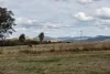 146 Allchin Circuit, Kambah, ACT 2902-Image
