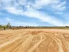 146 Bubner Road, Dublin, SA 5501-Image