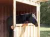 146 Fairy Glen Road, Collinsvale, Tas 7012-Image