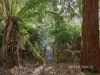146 Fairy Glen Road, Collinsvale, Tas 7012-Image