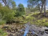 146 Fairy Glen Road, Collinsvale, Tas 7012-Image