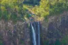 146 Glenwarrin Rd, Elands, NSW 2429-Image
