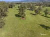 146 Mountain River Road, Grove, Tas 7109-Image