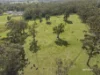 146 Mountain River Road, Grove, Tas 7109-Image