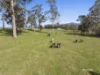 146 Mountain River Road, Grove, Tas 7109-Image