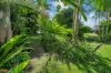 146 Munro Street, Babinda, Qld 4861-Image