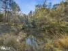 146 Nichols Road, Elderslie, Tas 7030-Image