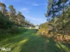 146 Nichols Road, Elderslie, Tas 7030-Image