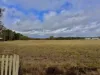 146 Ridge Road, Glen Niven, Qld 4377-Image