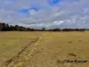 146 Ridge Road, Glen Niven, Qld 4377-Image