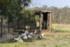 1467 Old Maitland Road, Sawyers Gully, NSW 2326-Image