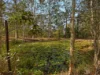 147-151 Ison Road, Greenbank, Qld 4124-Image