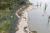 147 Kingston Road, Kingston On Murray, SA 5331-Image