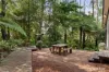 147 Maroondah Highway, Narbethong, Vic 3778-Image