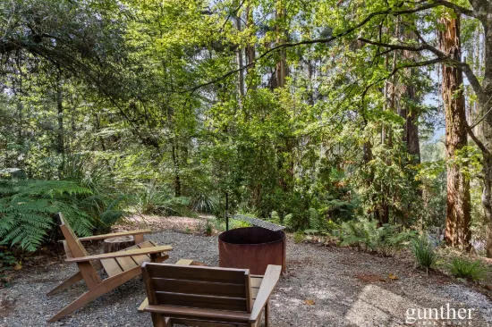 147 Maroondah Highway, Narbethong, Vic 3778-Image
