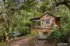 147 Maroondah Highway, Narbethong, Vic 3778-Image
