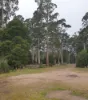 147 Morgan Road, Nook, Tas 7306-Image