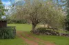147 Obi Obi Road, Mapleton, Qld 4560-Image