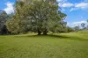 147 Obi Obi Road, Mapleton, Qld 4560-Image