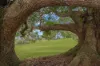 147 Obi Obi Road, Mapleton, Qld 4560-Image