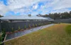 147 Stanton Drive, Thurgoona, NSW 2640-Image