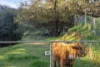 1475 Pakenham Road, Mount Burnett, Vic 3781-Image