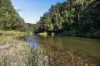 1476 Darkwood Road, Bellingen, NSW 2454-Image