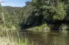 1476 Darkwood Road, Bellingen, NSW 2454-Image