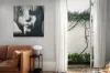 147a Queen Street, Woollahra, NSW 2025-Image