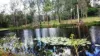 148-186 Bryants Road, Ripley, Qld 4306-Image