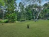 148 Barden Ridge Road, Reedy Creek, Qld 4227-Image