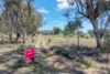 148 Hausfeilds Road, Duri, NSW 2344-Image