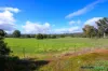 148 Lee-Steere Drive, Boyup Brook, WA 6244-Image