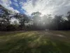 1484 Maryborough Biggenden Road, Dunmora, Qld 4650-Image