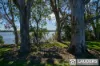 1489 Manning Point Road, Mitchells Island, NSW 2430-Image